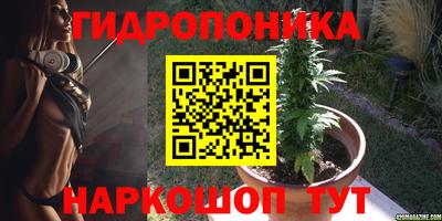 скорость Сланцы