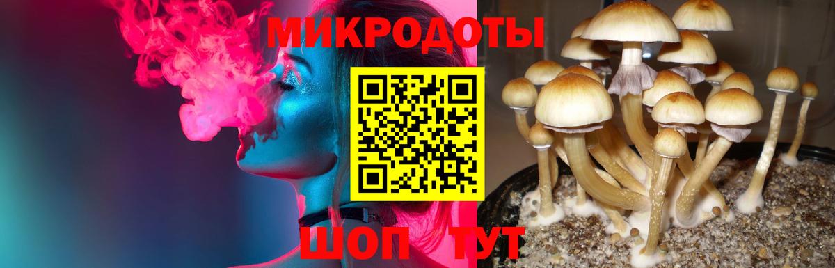 Галлюциногенные грибы Psilocybine cubensis Похвистнево